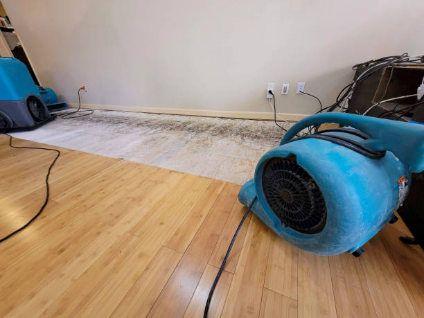 Professional Basement Flood Cleanup technician working in Hopedale, OH